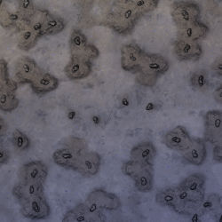 Moonshine Run v1.0.1