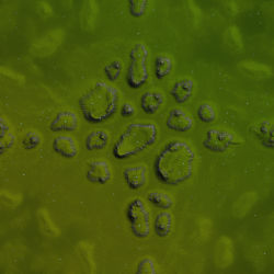 Plains and Passes v1.0